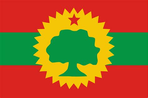 Oromo liberation flag | Oromo people, Flag, Unique flags