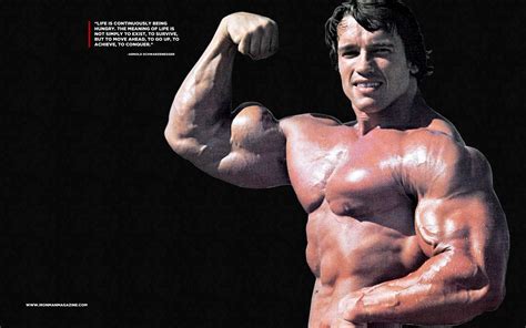 🔥 [120+] Arnold Schwarzenegger Wallpapers | WallpaperSafari