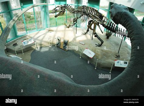 Dinosaur fossils and displays teach about prehistoric times at the ...