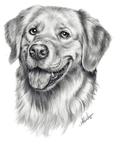 a black and white drawing of a dog's face