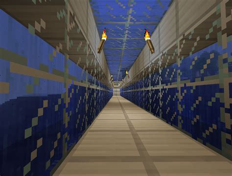 ocean biomes house 1.3.1 Minecraft Map