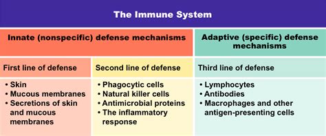 Immunity - ms. gallagher's classroom