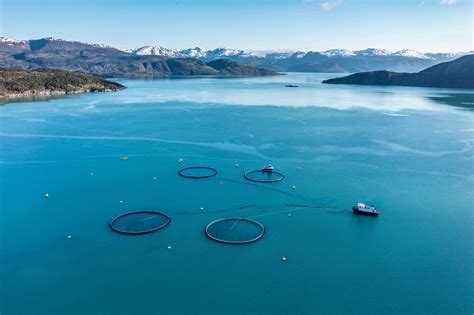 Norway Farmed Salmon Industry Accused of 'Food Colonialism' in New ...