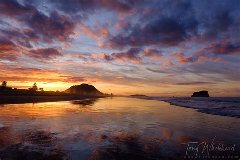 Escape from Lockdown - Mount Maunganui beach - WildLight Photography