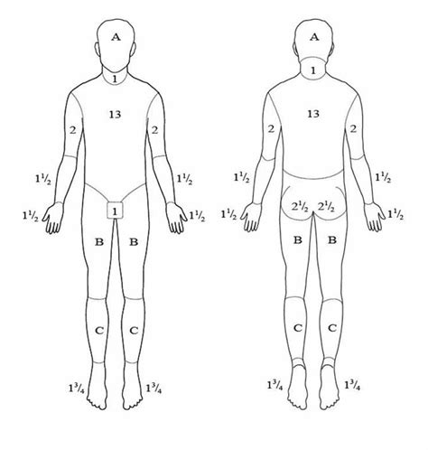 Prediction of Mortality in Acute Thermal Burn Patients Using the Abbreviated Burn Severity Index ...