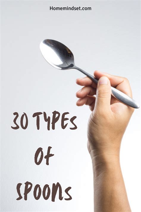 30 Types Of Spoons (Differences, Uses, Pics) | Spoon, Type, Long teaspoon