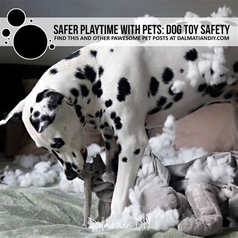 Dog Toy Safety Tips and Helpful Links - Dalmatian DIY