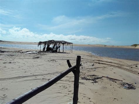 Premium Photo | An isolated thatched hut on a sandy beach