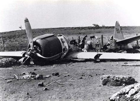 Niihau-Zero-crash | HistoryNet