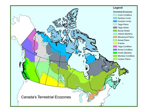 Canadian Ecozones | Biomes, Teaching geography, Forest ecosystem