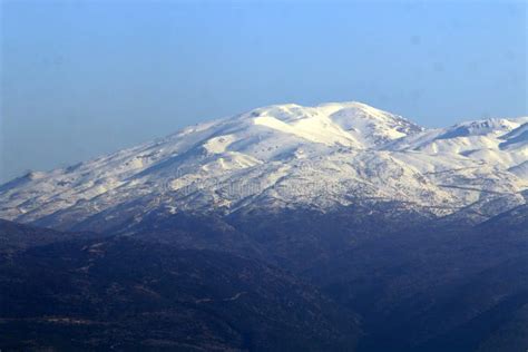 There is Snow on Mount Hermon Stock Photo - Image of tree, landscape ...