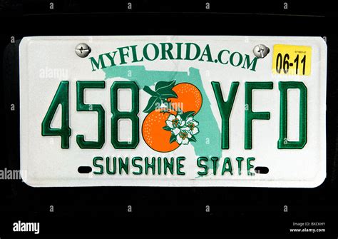 Florida license plate number lookup - vercompare