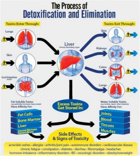 Medical treatment for mycotoxins