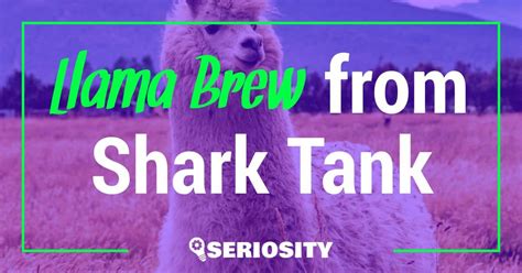 Llama Brew from The Shark Tank