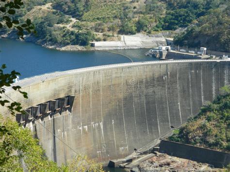 Kariba dam stock photo. Image of kariba, flower, wild - 80832058