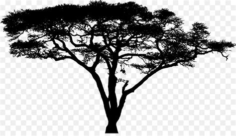 acacia tree silhouette clipart 10 free Cliparts | Download images on ...