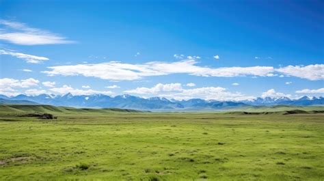 Premium AI Image | A photo of a plateau with sparse vegetation clear blue sky