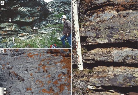 Examples of sedimentary structures at Viernjárga bay (left square in ...