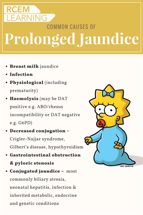 Maggie Simpson’s Second Audition – Prolonged Jaundice – RCEMLearning India