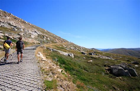 Kosciuszko walk - Thredbo to Mount Kosciuszko | Map | NSW National Parks