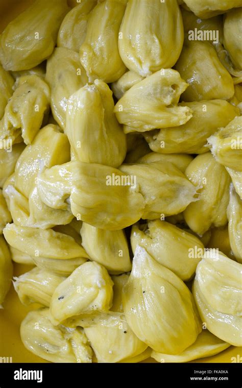 Detail of jackfruit seeds Stock Photo - Alamy