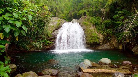 Blue and John Crow Mountains National Park - Jamaica Attraction ...