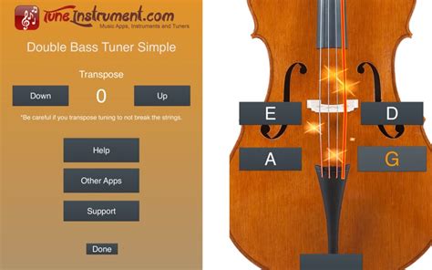 Double Bass Strings Notes | Guitar