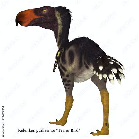 Kelenken Bird Tail with Font -Kelenken was a carnivorous Terror bird ...