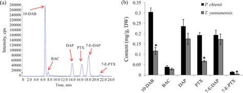 Omic analysis of the endangered Taxaceae species Pseudotaxus chienii ...