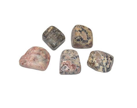 Leopard Skin Jasper – Tumbled | Shadow and Soul Emporium