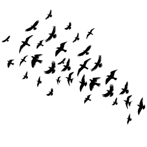 Premium Vector | Flying birds set silhouette isolated on white background vector