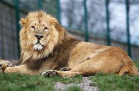 Over one million people visited Dublin Zoo in 2013 · TheJournal.ie