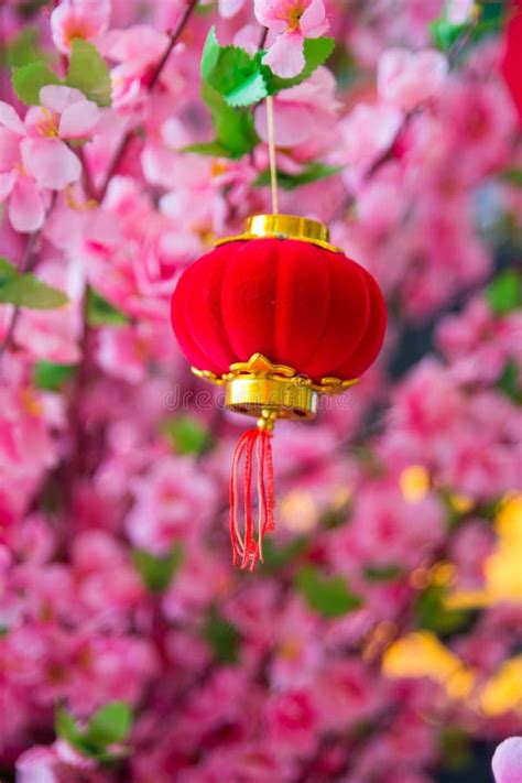 Spring Festival Chinese New Year Decoration Stock Photo - Image of prosperous, gold: 107231120