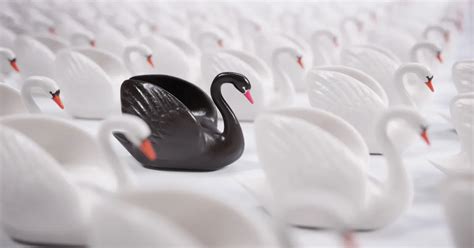 Rethinking Black Swan Events for SCRM