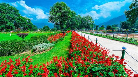 Famous Gardens Of Kashmir | Fasci Garden