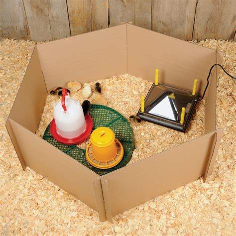 Chick Brooder Panels - Premier1Supplies