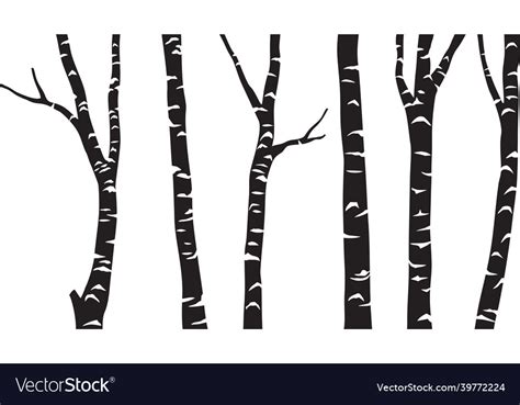 Birch tree black Royalty Free Vector Image - VectorStock