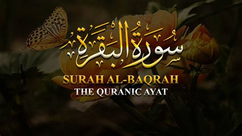 Quran Recitation Mishary Rashid Alafasy | Relaxing Quran Recitation | The Quranic Ayat - YouTube