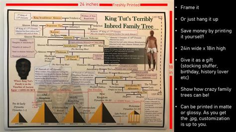 King Tut's Inbred Family Tree Poster 24 X 18 by Mortal Faces - Etsy Canada