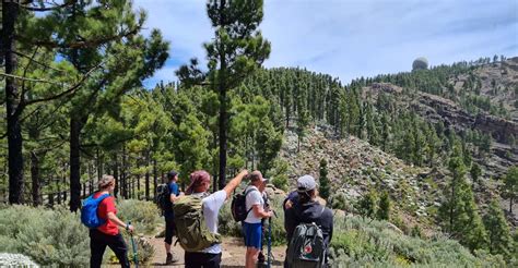 Gran Canaria: "Peaks of Gran Canaria" Hiking Tour | GetYourGuide