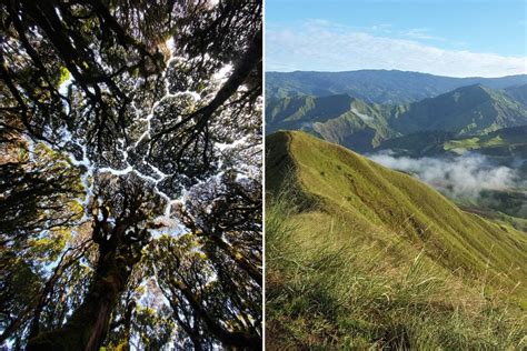 Top 15 Awesome Tourist Spots in Bukidnon - Wander Era