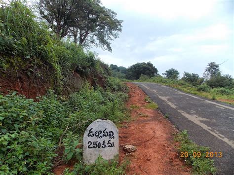 The way-farer's guide: Dollapalli Village near Paderu a promising spot for tribal basesed Eco ...