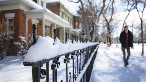 Change in Weather: What You Need to Know About University Snow Closures - CU Denver News