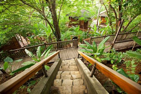 15 Magical Treehouses You Won't Believe Exist in Central America Stay In A Treehouse, Ocean View ...