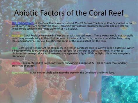 PPT - The Coral Reef PowerPoint Presentation - ID:2586906