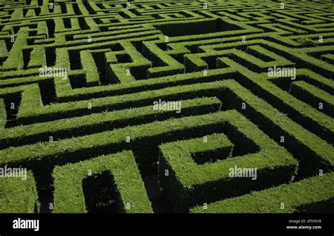 Maze detail in a forest, game and fun Stock Photo - Alamy