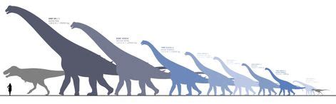 Alamosaurus Species by Randomdinos DeviantArt (With images ...