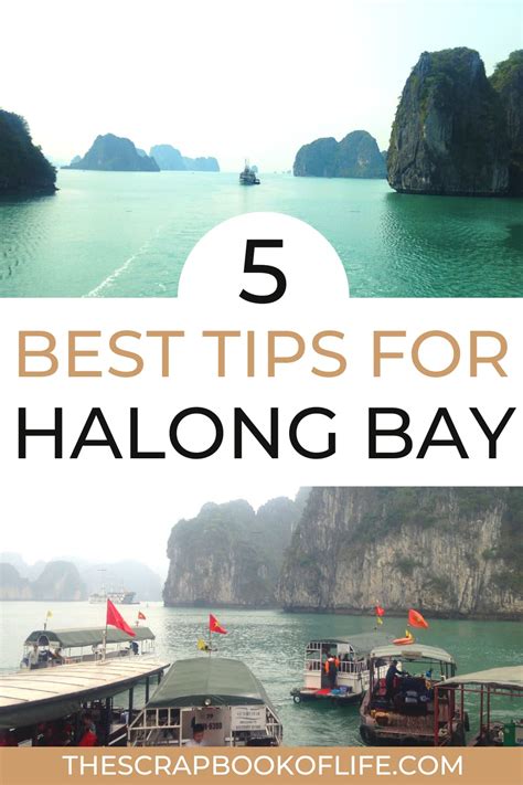 How Do I Choose A Halong Bay Cruise? [5 Super Useful Tips]