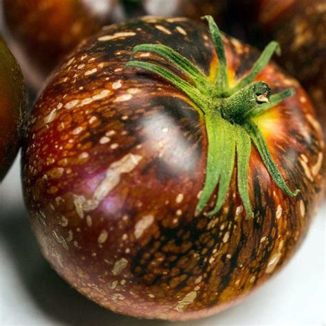 Dark Galaxy Tomato Seeds - Price €1.65