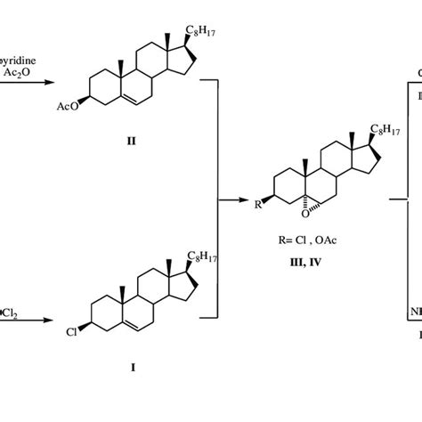 Scheme 2. Synthesis of steroidal oxazoline [(V),(VI)] and aziridine... | Download Scientific Diagram